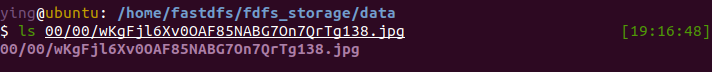 54_5.png