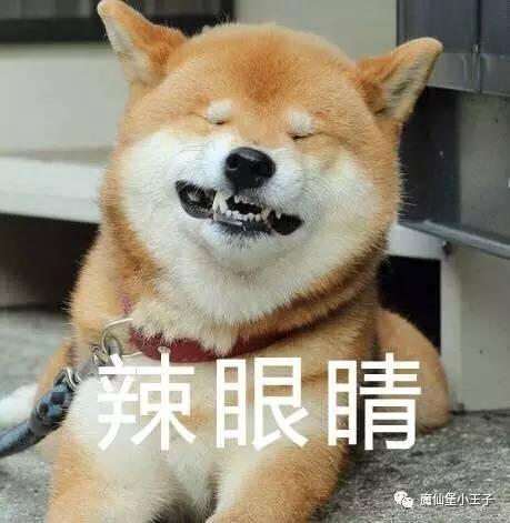 129_32.png